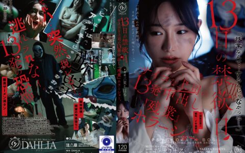 DLDSS-524 เลขาสาวใหญ่ที่อด 13 วันจนระเบิด 13 ยกในโอที Mitsuha Chiharu