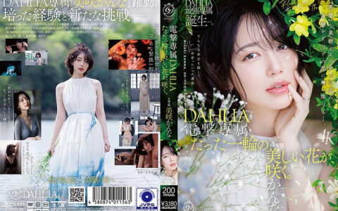 DLDSS-532 สาวเอ็กซ์คลูซีฟหน้าหวานที่กำลังเบ่งบานเต็มที่ Kanna Misaki